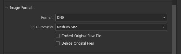 Select the DNG image format.