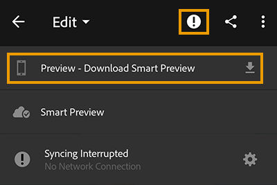 Download a Smart Preview