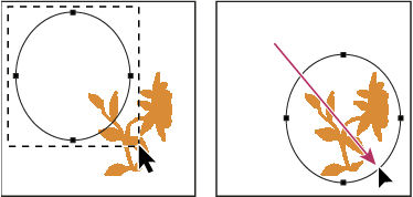 Photoshop Drag a path to a new location