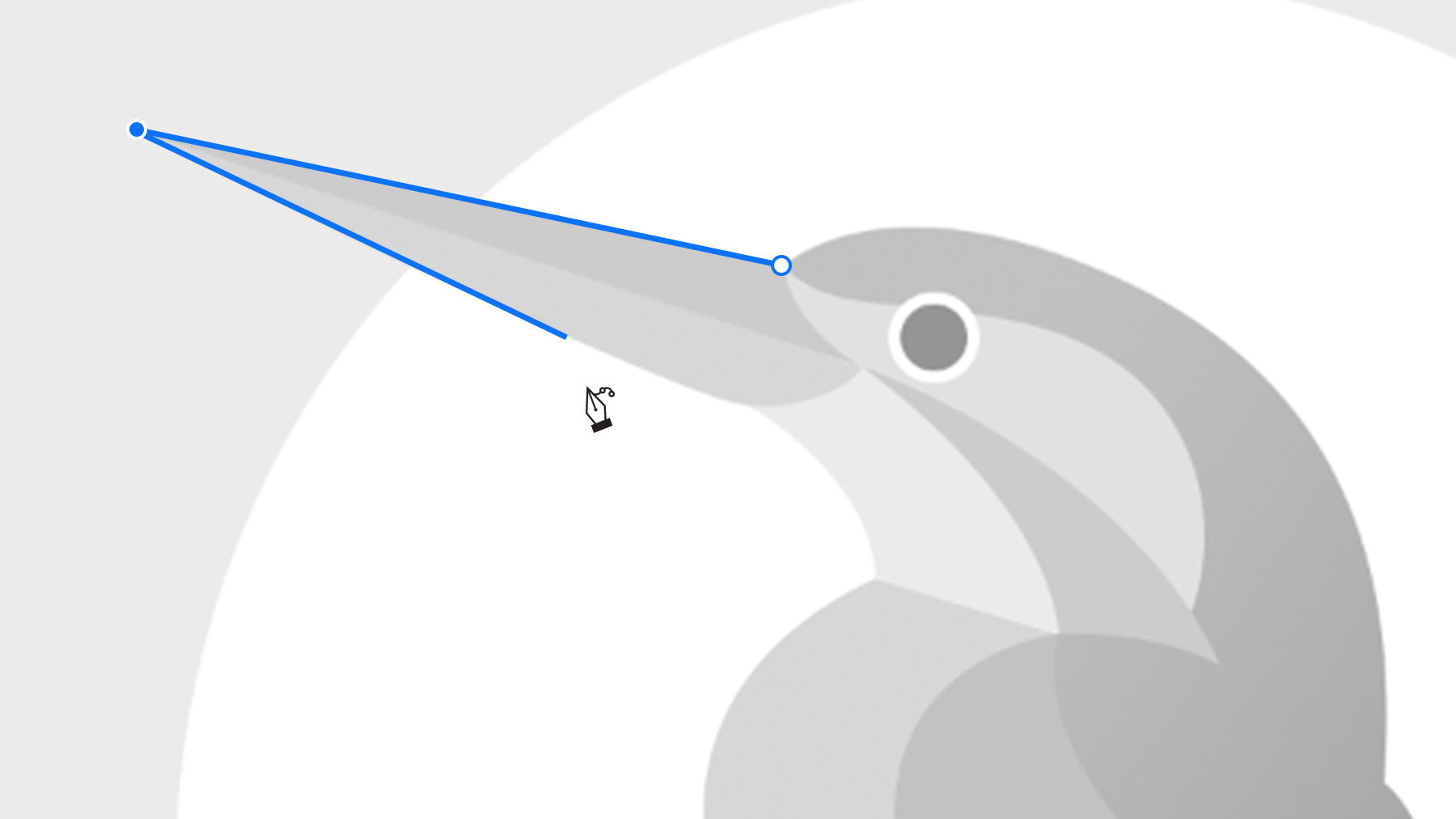 Black and white bird artwork with blue lines on beak shows straight, angular paths. 