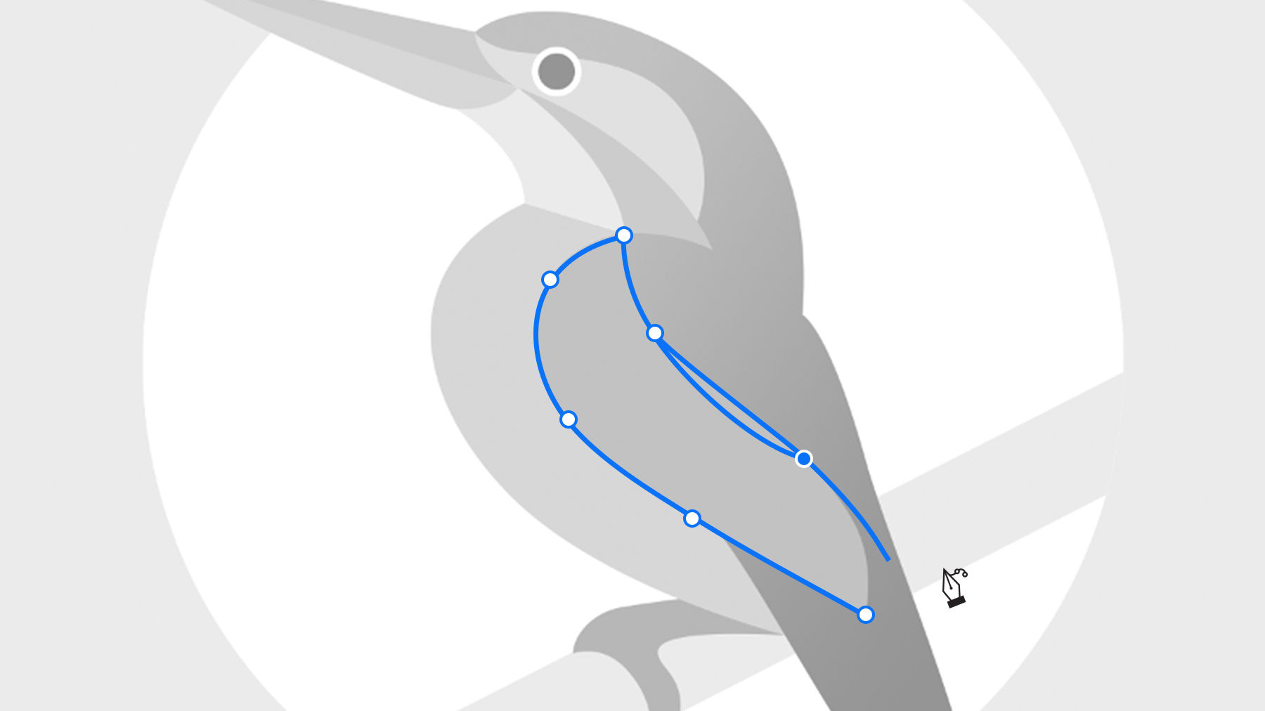 Black and white bird artwork with blue lines on wing shows curved paths with points.