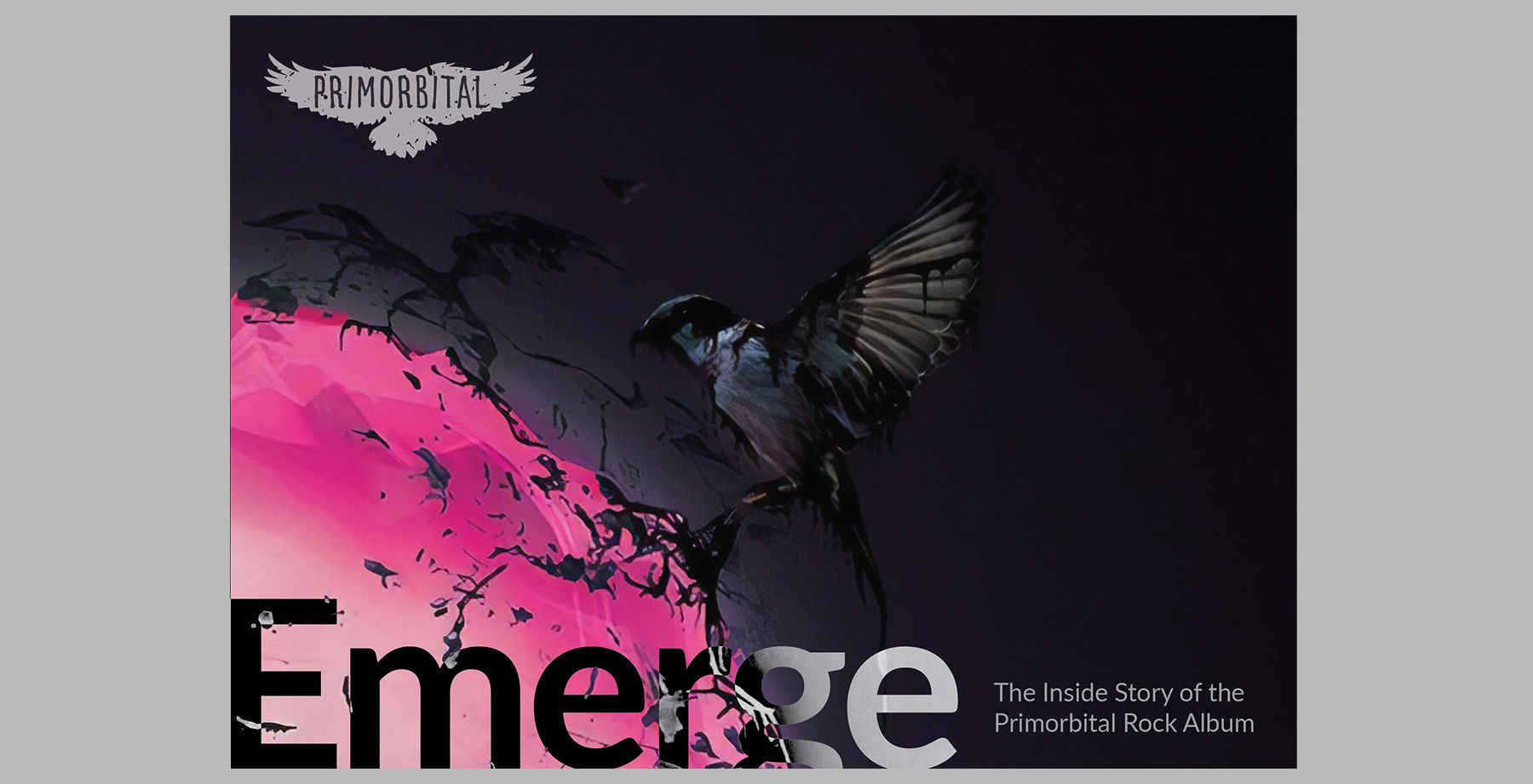 Finished eBook cover features a black bird with pink and black background, hyperlinked bird in corner, and the book title.