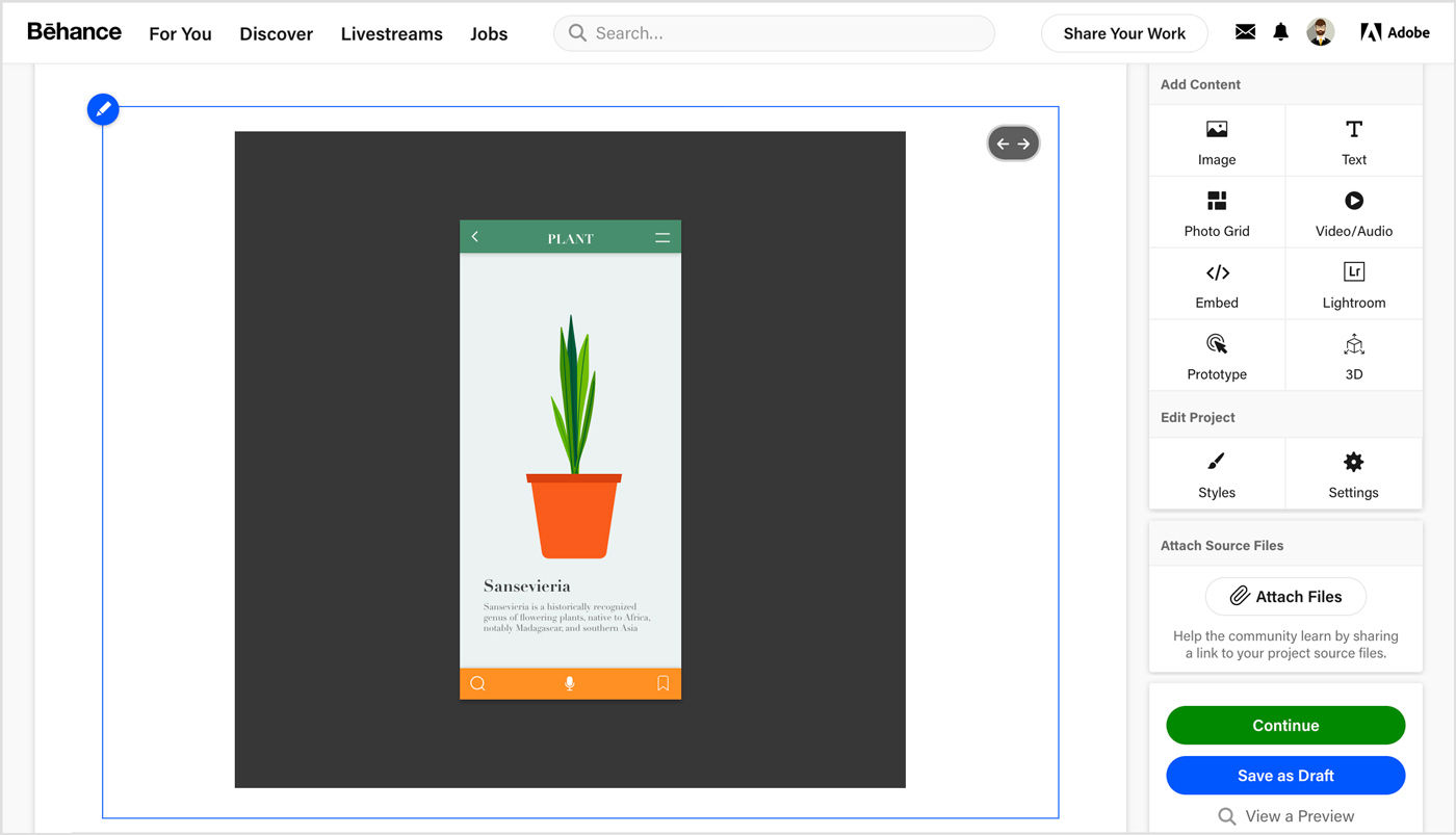 Click Continue to publish the project