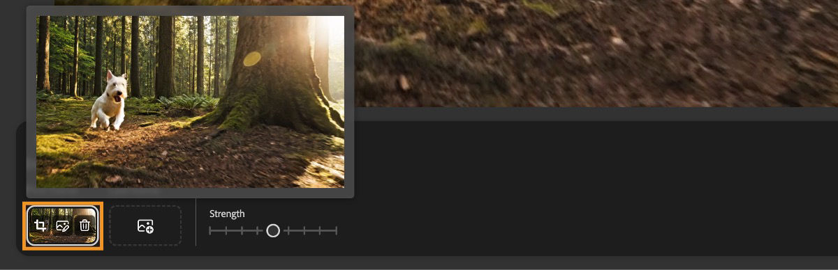 The First frame menu shows an added image with an overlay of three icons- crop, edit, and remove.