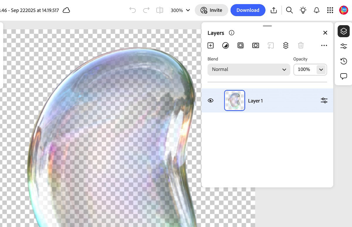 The image from the canvas is opened in Photoshop on the web, where various editing options are available through the controls.