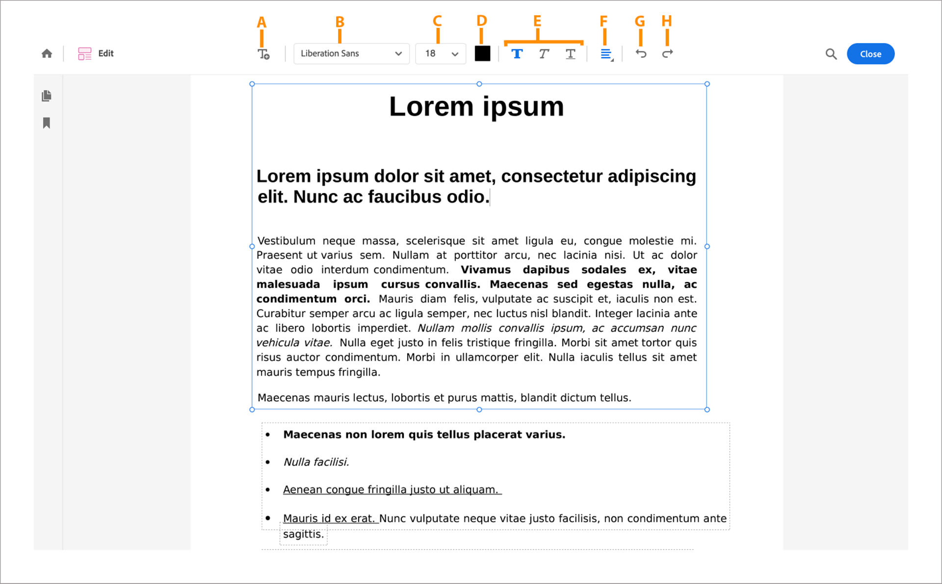 Edit text options