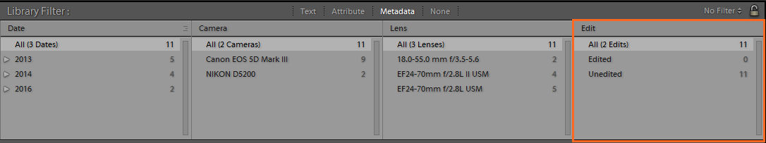 Neue Metadatenkategorie in der Bibliotheksfilterleiste