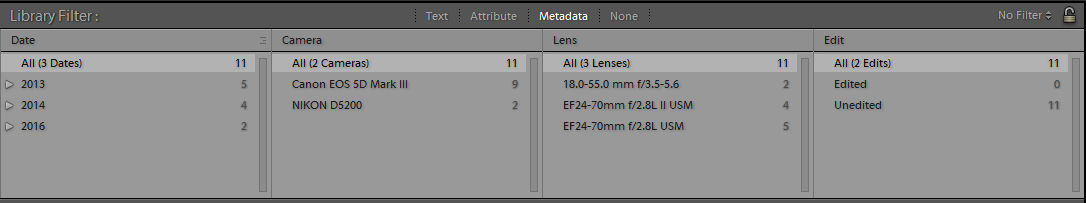 Metadata filters in the Library Filter bar