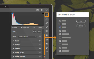 Customize your Camera Raw workspace
