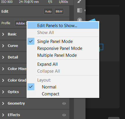 The Edit panel context menu 