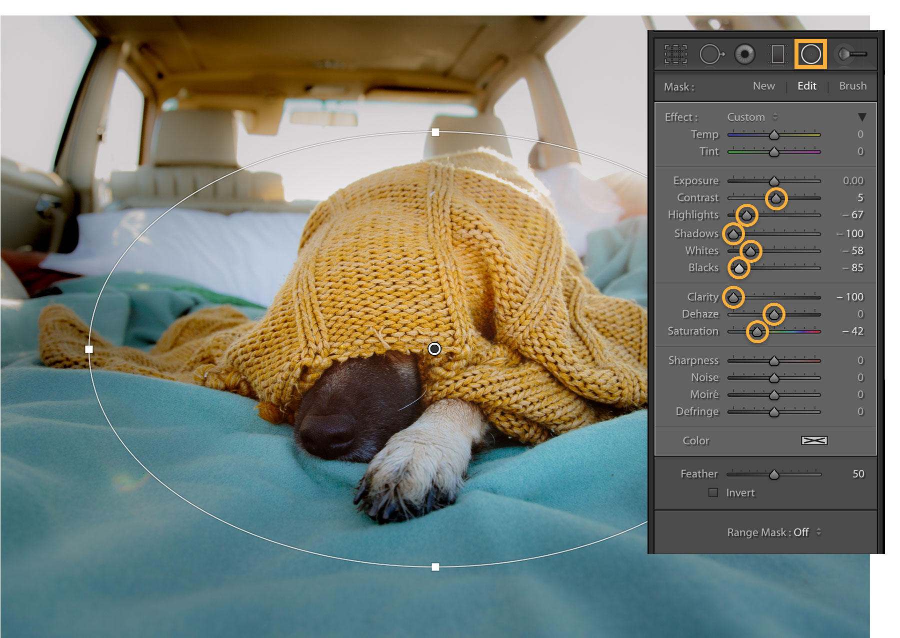 Exposure, Clarity, and Saturation are adjusted to draw attention to the puppy.