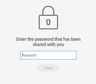 Entering a password to view a password protected prototype
