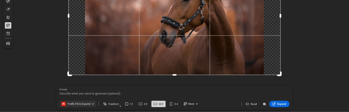 The Generative expand screen displays an image with cropping handles and the Landscape option selected out of a variety of aspect ratios.