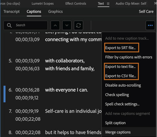 Export options for captions