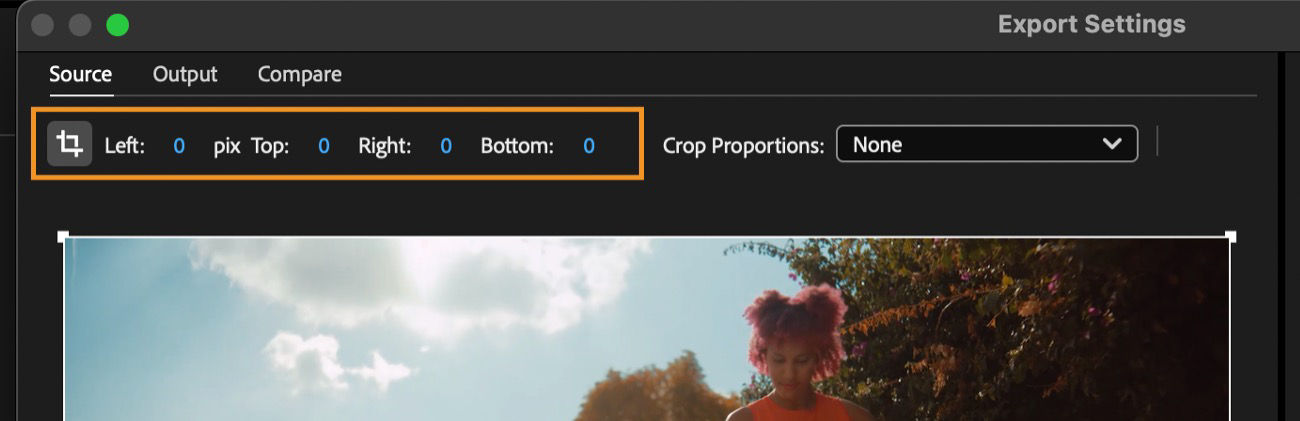 The Source tab is selected, and the Crop the output video icon is active to adjust left, top, right, and bottom for cropping.