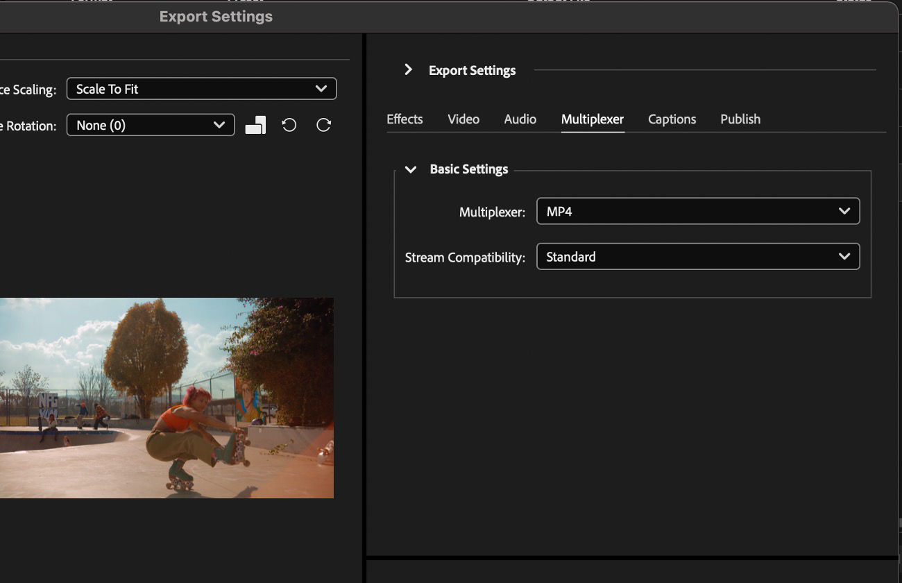 The Multiplexer tab is selected and provides controls such as Multiplexer and Stream Compatibility for adjustment.