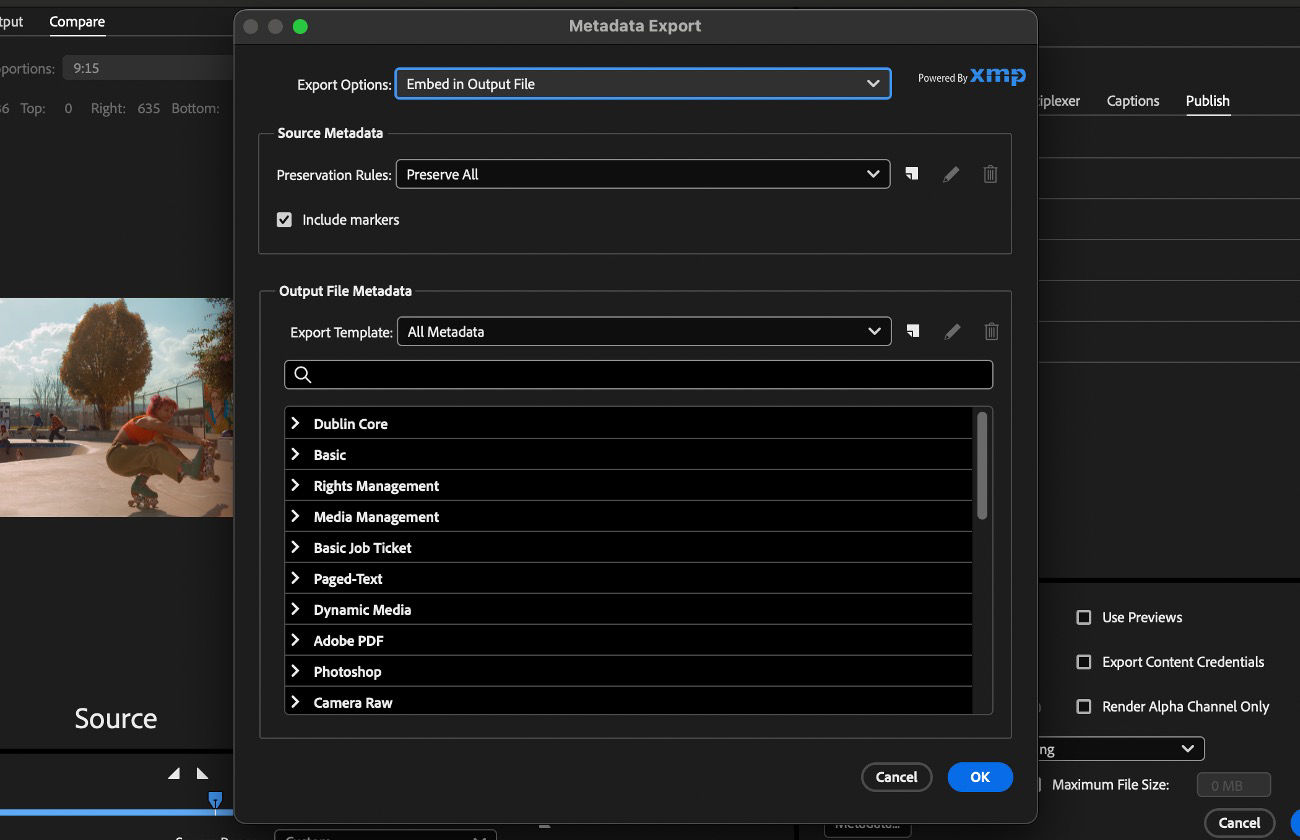 The Metadata Export dialog box is open and displays options to include, exclude, or customize metadata for the exported file.