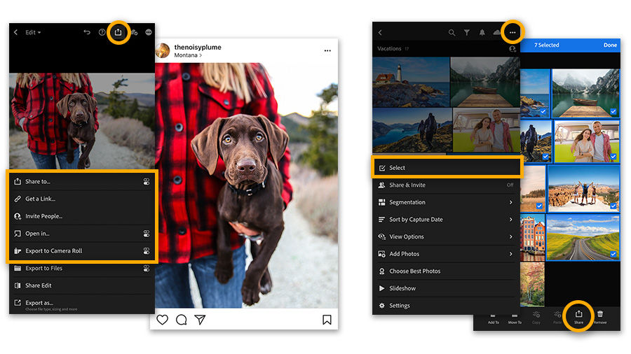Lightroom for mobile on a phone showing the share options for a single photo, as well as how to select multiple photos for sharing.