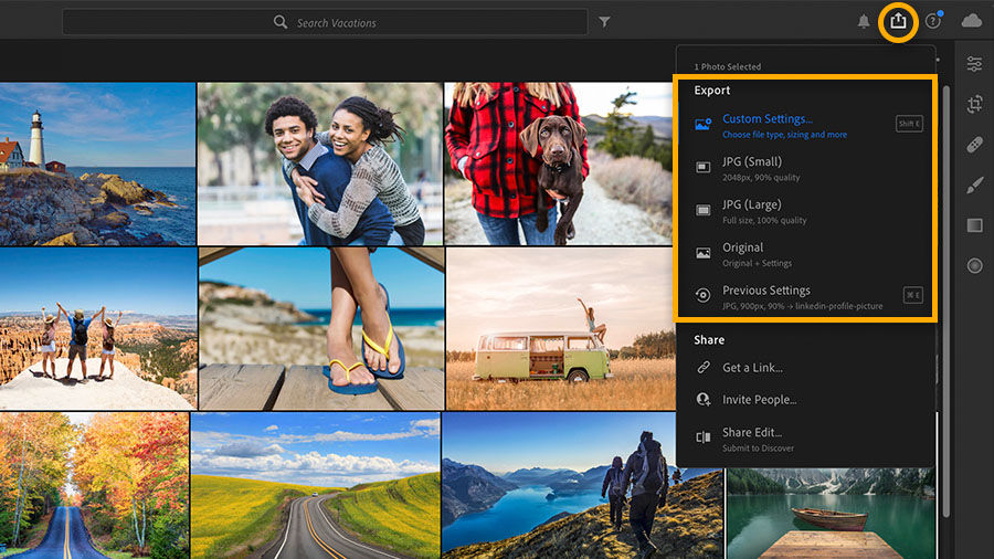 Photos in an album in Lightroom for desktop with the Share icon highlighted and the Export options displayed in a menu.