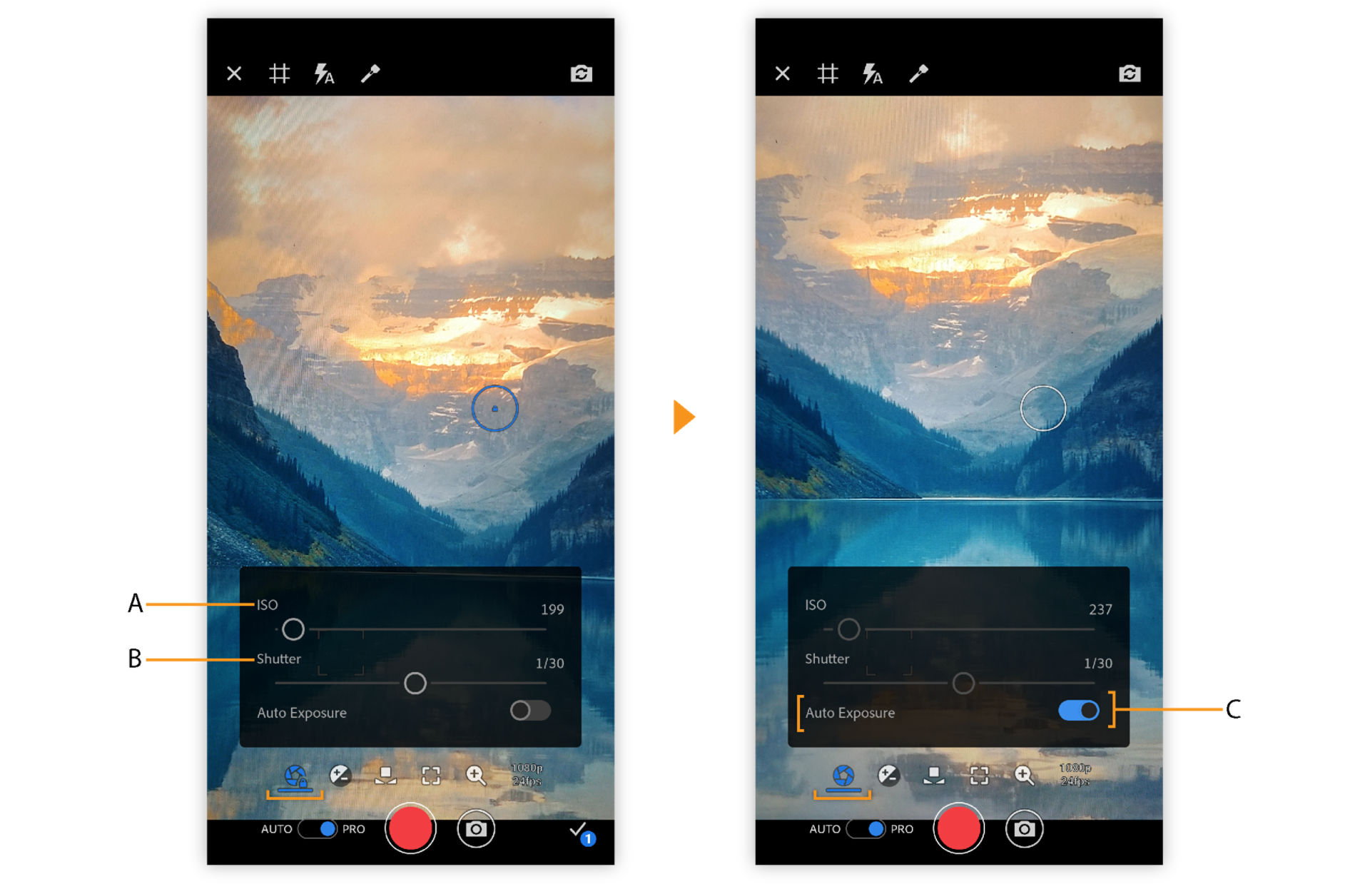 PRO exposure options in Premiere Rush