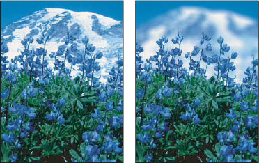 Photoshop Blur filters