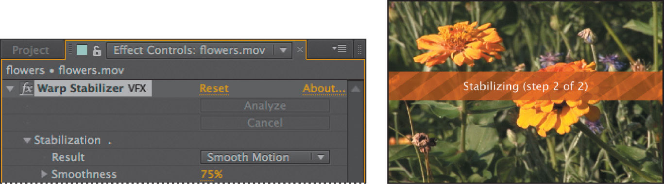 Left: Warp Stabilizer VFX settings. Right: Stabilizing flower image.
