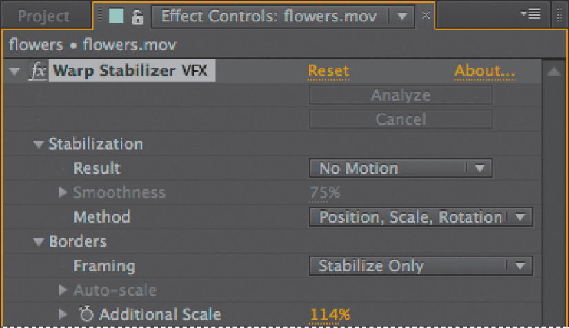 Effect Controls panel shows Warp Stabilizer VFX options. Scale is increased to 114%.