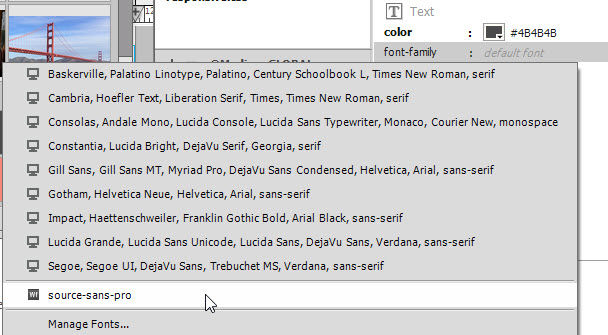 Web fonts are listed below the common font stacks.