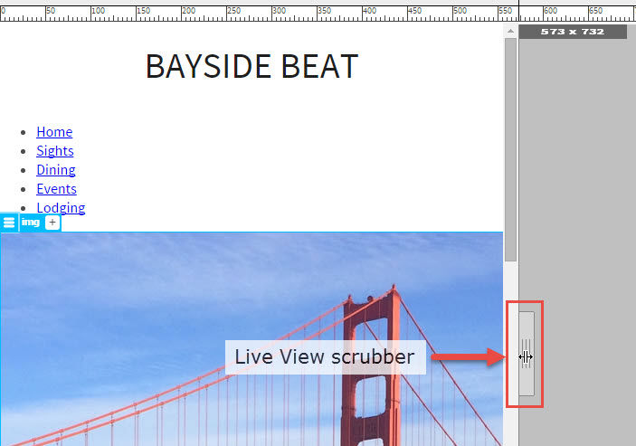 The Live View scrubber on the Bayside Beat website is highlighted