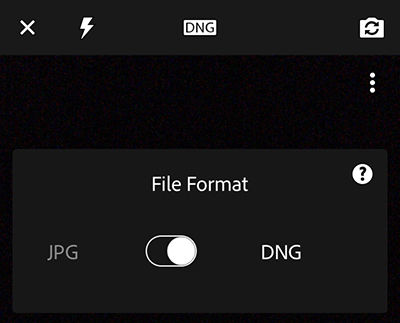 Bestandsindeling van vastgelegde foto kiezen — JPG- of Adobe DNG-indeling