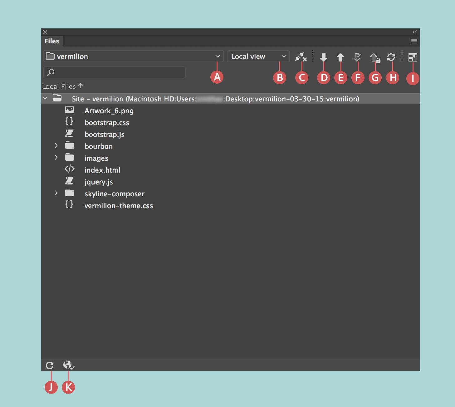 The Files panel when a site, connections to remote servers, and check-in and check-out is enabled