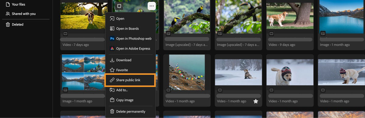 Firefly Generation history tab displays an asset’s context menu with a highlight over the Share public link option.
