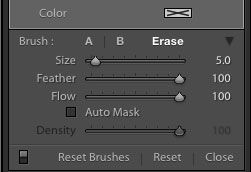 Lightroom filter brush settings