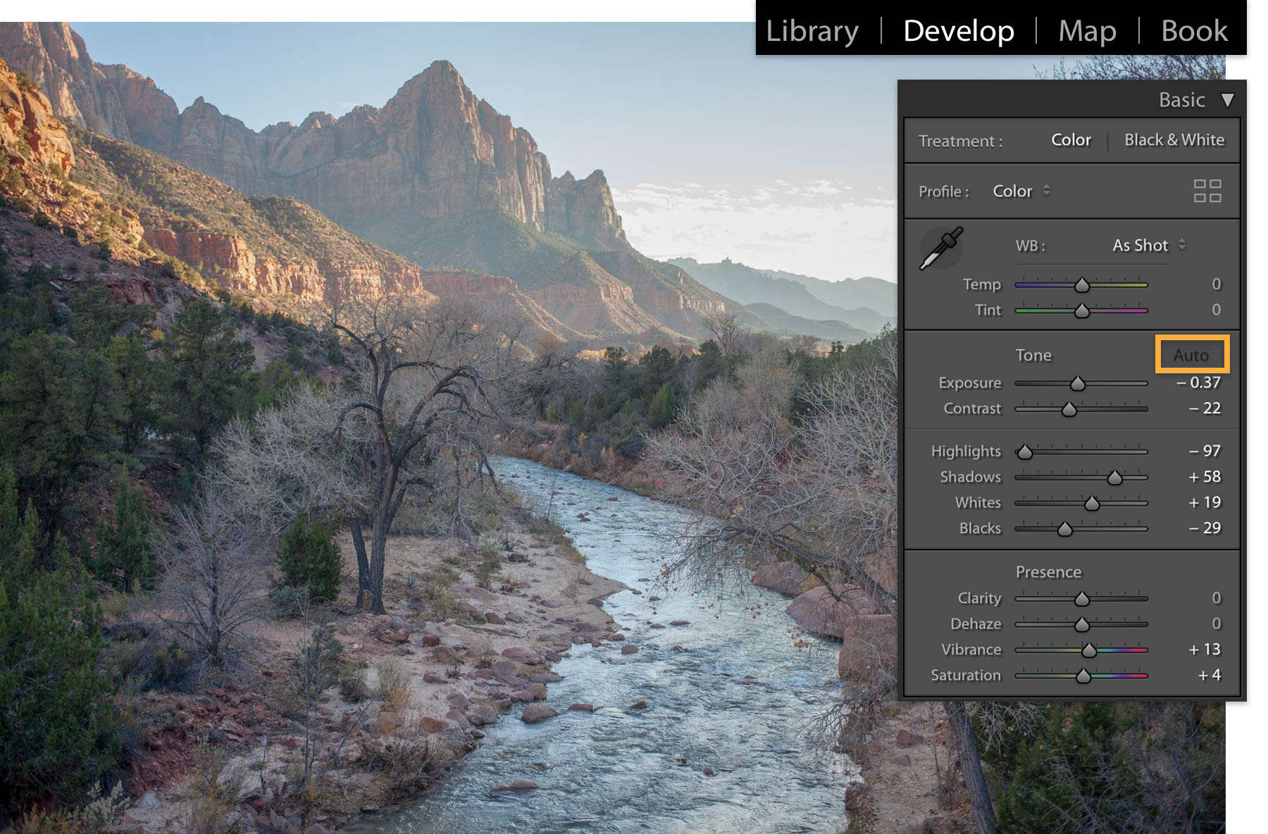 Develop > Tone > Auto is selected to see instant, automatic color adjustments.