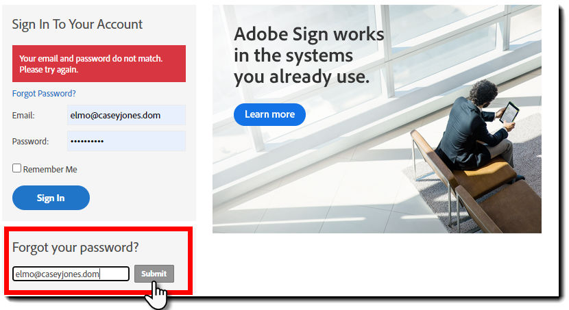 Forgot Password panel