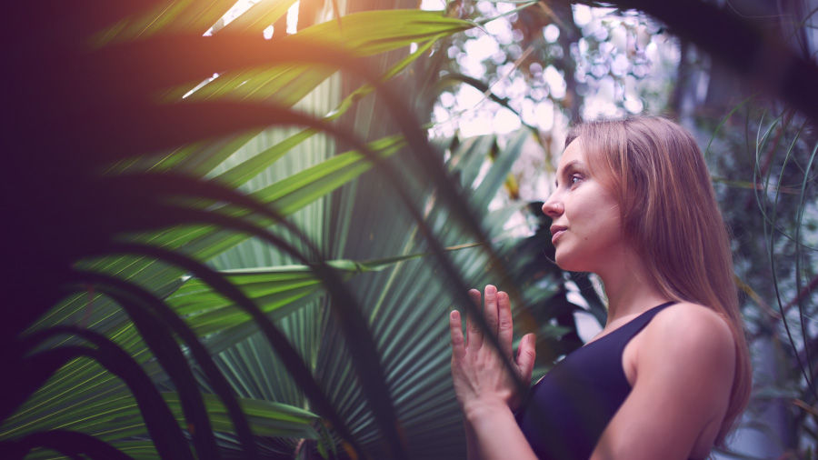 An image of a woman in a tropical jungle setting