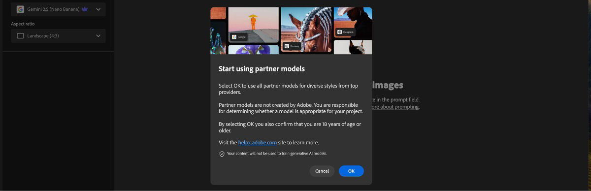 The Start using the partner models is open and you have the option to continue or cancel.