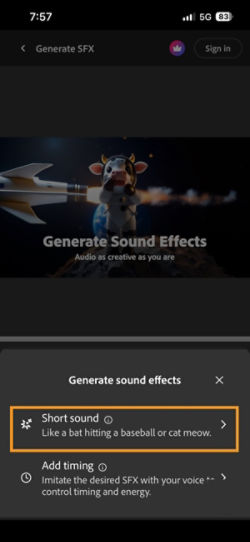Short Sound and Timed sound with your video options are available to choose from. The Short Sound option is selected to generate a sound effect using a brief text description.