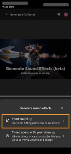 Short Sound and Timed sound with your video options are available to choose from. The Short Sound option is selected to generate a sound effect using a brief text description.