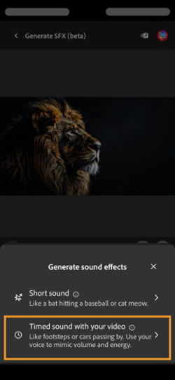 The Generate sound effects option has two different options and the Timed sound with your video option is selected from the available options.
