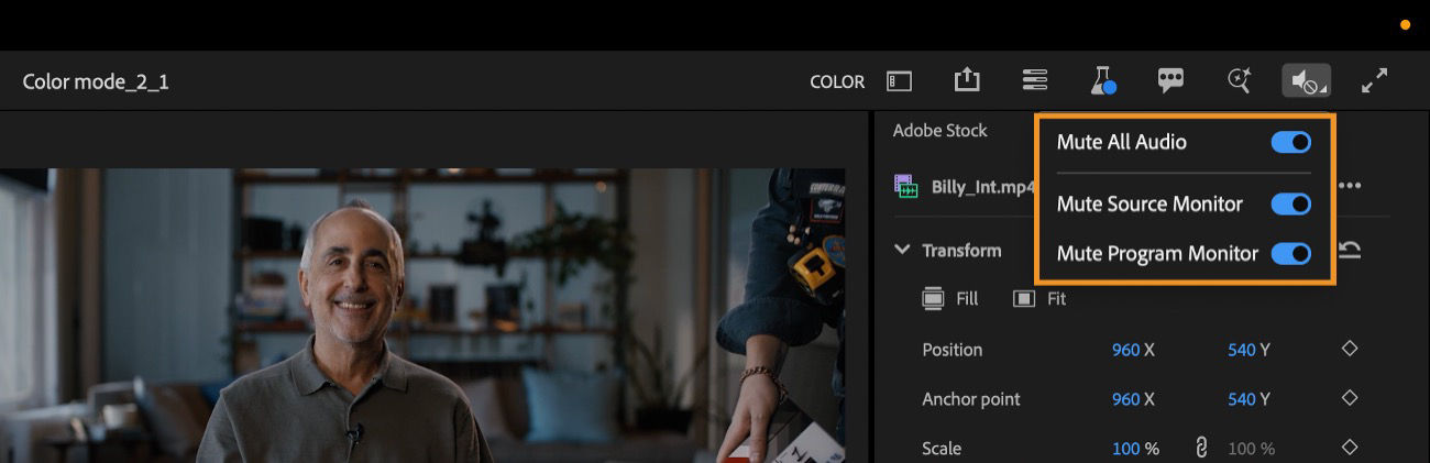 Mute button in the heading bar showing mute options: Mute All Audio, Mute Source Monitor, and Mute Program Monitor.