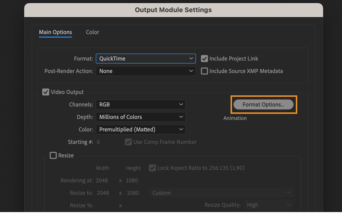 The Output Module Settings dialog box is open, and the Format Options is selected. This option allows you to adjust the compression and other basic video settings.