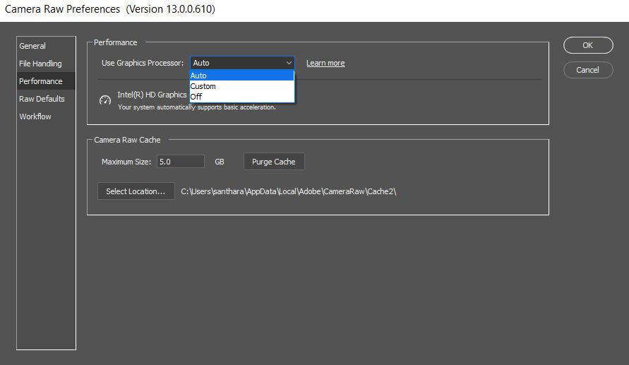 The GPU setting in Camera Raw Preferences dialog box