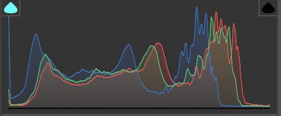 histogram-camera-raw