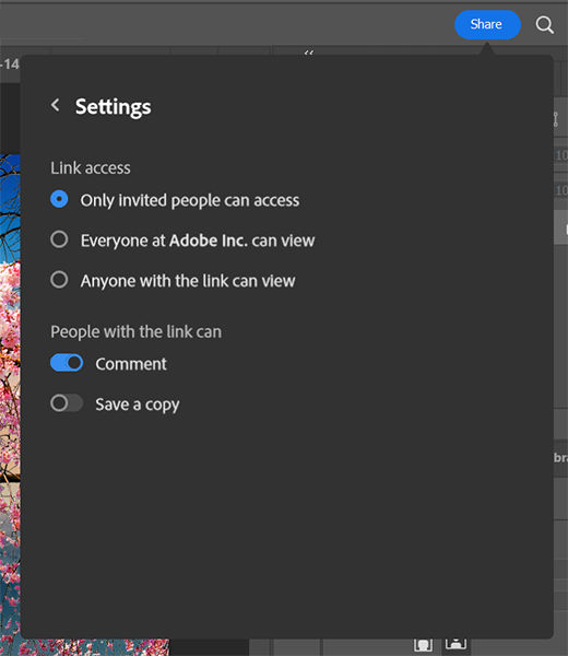 Change link settings for invite to edit
