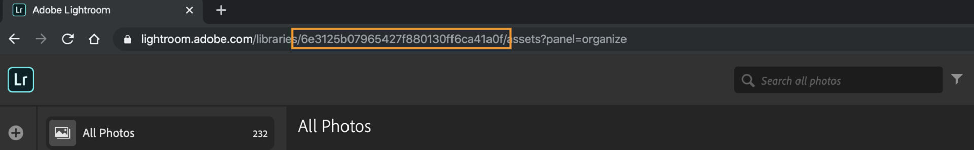 Identify catalog id string