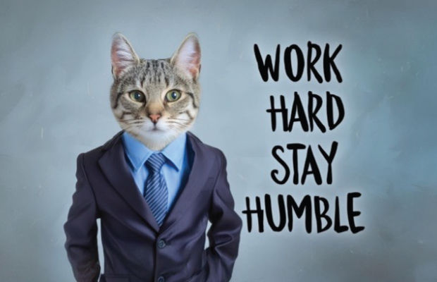 The image features a human body dressed in a business suit with a cat head instead of a human one. To the right, text reads “WORK HARD STAY HUMBLE.” It’s a motivational image with a humorous twist.