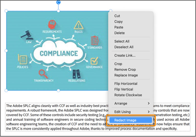 Redact image from the context menu