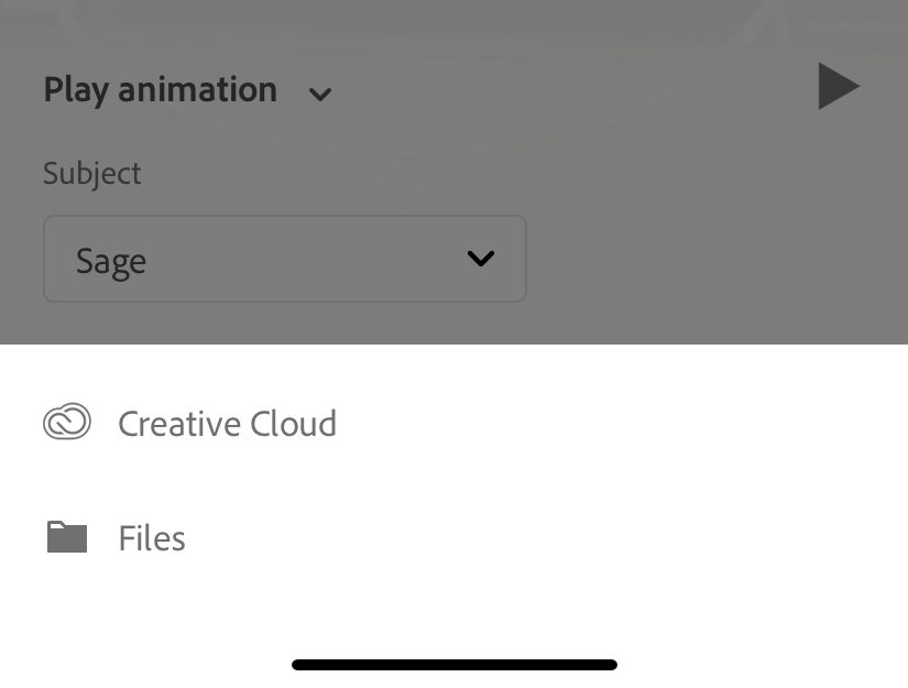 Animation import menu