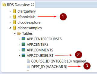 RDS Dataview panel